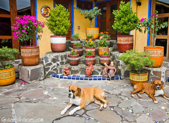 Rancho Las Cascadas courtyard Manuela Stefan