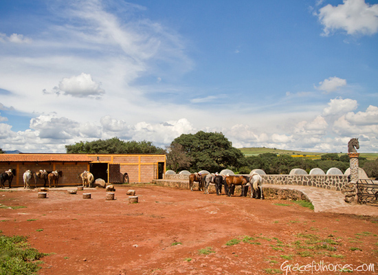 Rancho Las Cascadas stables Manuela Stefan