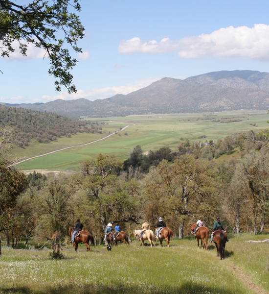 Rankin Rankin horse trail riding California