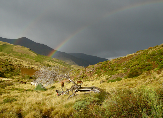 Estancia Ranquilco ranch