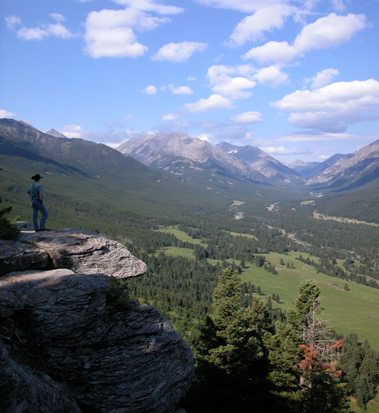 Sweet Grass Ranch Montana Forestry