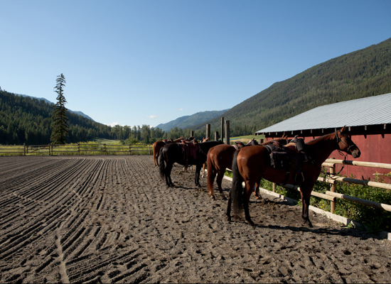 Tod Mountain Ranch Canada ready to ride