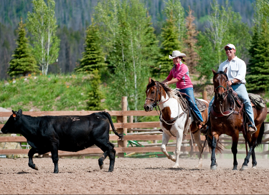 Vista Verde horsemanship colorado