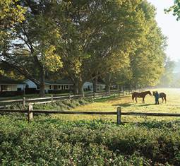 california dude ranch