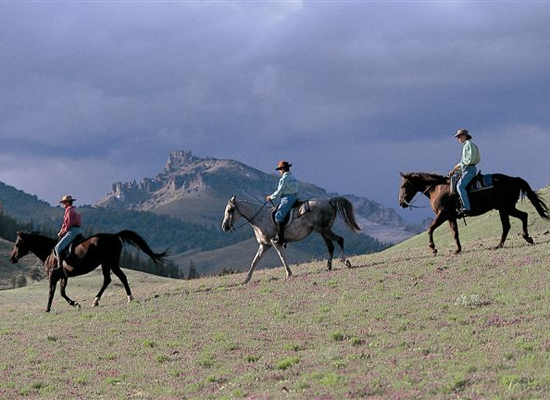 Bitterroot Ranch horsemanship Wyoming