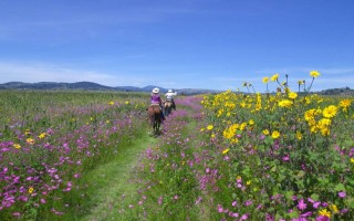 Ride away at Rancho Las Cascadas