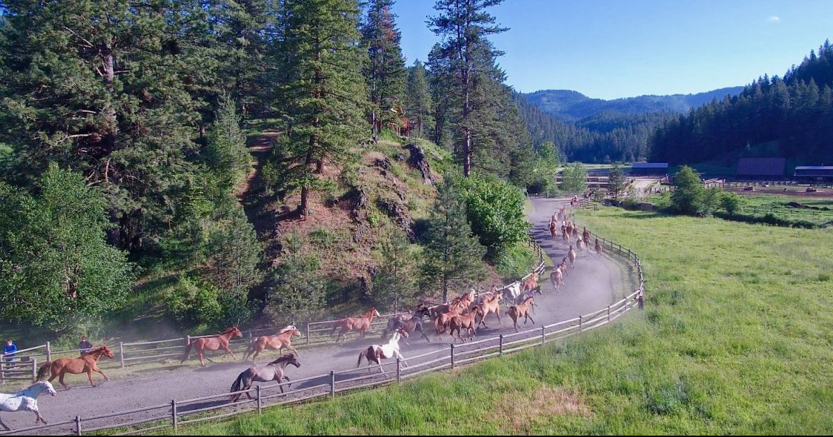 Red Horse Mountain Ranch, Idaho, USA Guest Ranch vacation Top50 Ranches